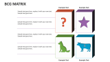 Bcg Matrix - Slide 6