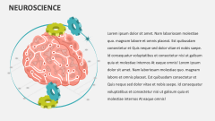 Neuroscience - Slide 1