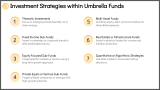 Who Should Invest in an Umbrella Fund? - Slide 8