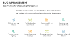 Best Practices for Effective Bug Management - Slide 12