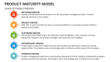 Levels of Product Maturity - Slide 3