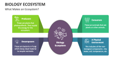 Biology Ecosystem - Slide 1