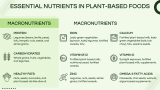Plant-Based Nutrition Presentation - Slide 4