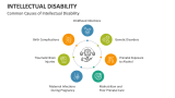 Common Causes of Intellectual Disability - Slide 3