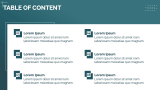 Organization Profile - Slide 2