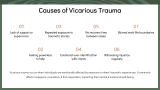 Introduction to Vicarious Trauma - Slide 3