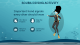 Scuba Diving - Slide 8
