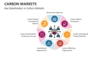 Key Stakeholders in Carbon Markets - Slide 5