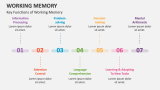 Key Functions of Working Memory - Slide 3