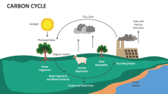 Carbon Cycle - Slide 1