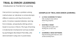 Introduction to Trial & Error Learning - Slide 2