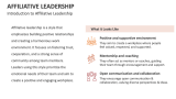 Introduction to Affiliative Leadership - Slide 2