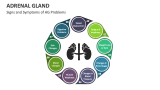 Signs and Symptoms of Adrenal Gland Problems - Slide 2