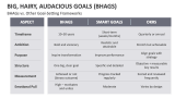 Big, Hairy, Audacious Goals (BHAGS) vs. Other Goal-Setting Frameworks - Slide 8