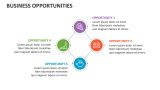 Business Opportunities - Slide 3