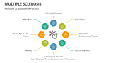 Multiple Sclerosis Risk Factors - Slide 6