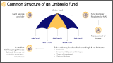 Key Components and Stakeholders of Umbrella Fund - Slide 5