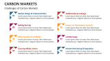 Challenges of Carbon Markets - Slide 8