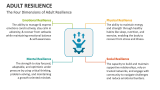 The Four Dimensions of Adult Resilience - Slide 4