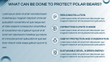 Polar Bears Presentation Theme - Slide 10
