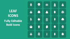 Leaf Icons - Slide 1
