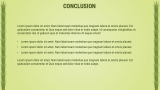 Agriculture Business Plan - Slide 13