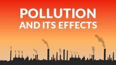 Pollution and Its Effects - Slide 1