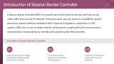 Session Border Controller (SBC) - Slide 2