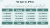 Project Pricing Proposal - Slide 5