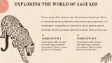 Jaguar Presentation Theme - Slide 3