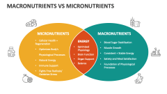 Macronutrients Vs Micronutrients - Slide 1