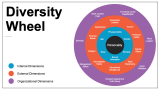 Diversity Wheel - Slide 2