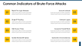 Brute Force Attack - Slide 4