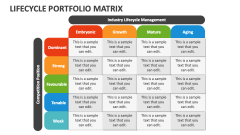 Lifecycle Portfolio Matrix - Slide 1