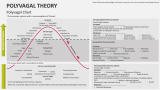 Polyvagal Chart - Polyvagal Theory - Slide 5