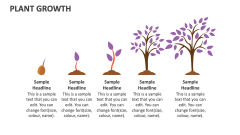 Plant Growth - Slide 1