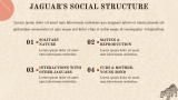 Jaguar Presentation Theme - Slide 6