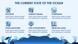 Save The Ocean - Slide 4