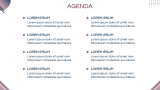 Aesthetic E-Commerce Business Plan - Slide 2