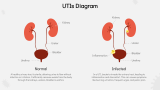 Pathophysiology of Urinary Tract Infections (UTIs) - Slide 7