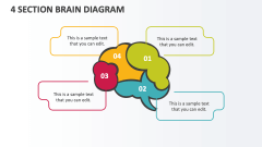 4 Section Brain Diagram - Slide 1