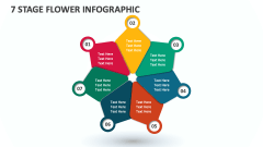 7 Stage Flower Infographic - Slide 1