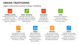 Organs Commonly Involved in Organ Trafficking - Slide 5