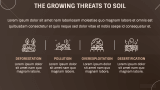 The Vital Role of Soil - Slide 7
