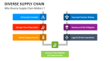 Why Diverse Supply Chain Matters ? - Slide 2