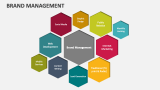 Brand Management Template for PowerPoint and Google Slides - PPT Slides