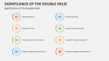 Significance of The Double Helix - Slide 5