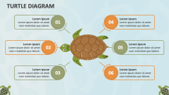 Turtle Diagram - Slide 1