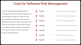 Software Risk Management - Slide 8