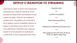 Netflix Case Study Presentation - Slide 7